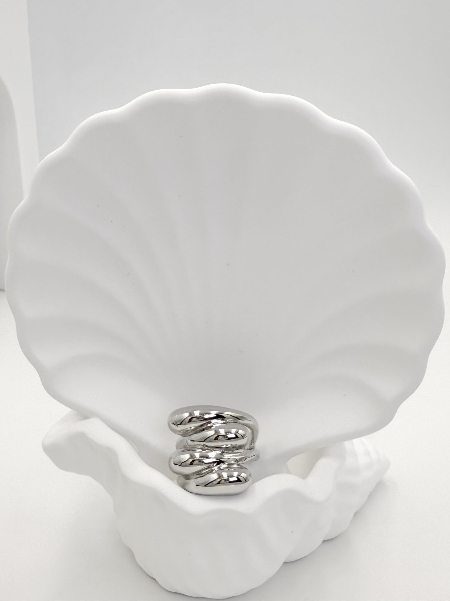 Anillo Plateado AP1